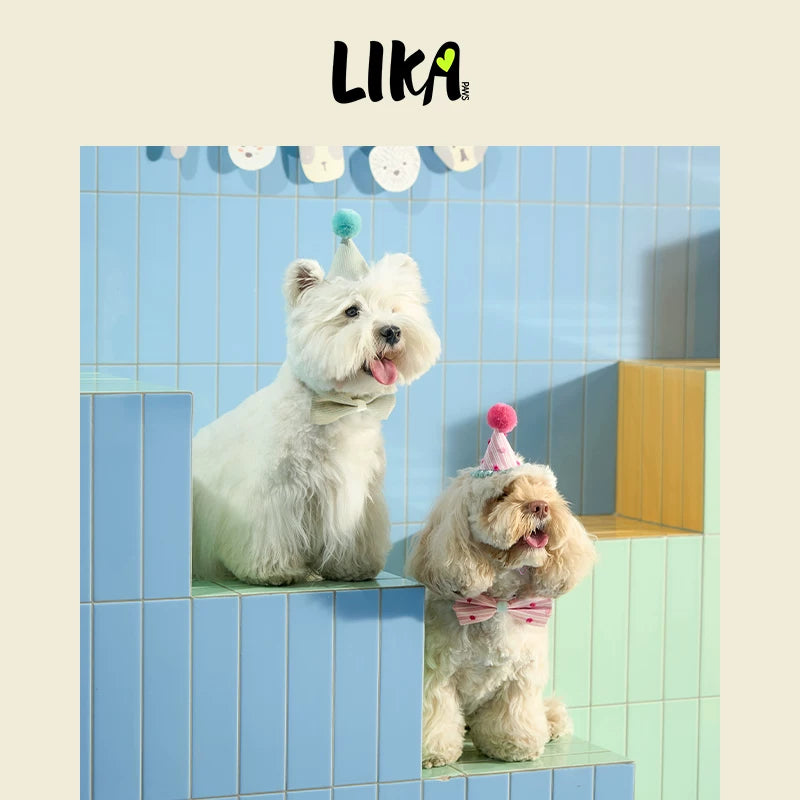 有 LIKAPAWS 貓狗用品節慶套裝寵物派對裝扮生日帽可調節拍照出片