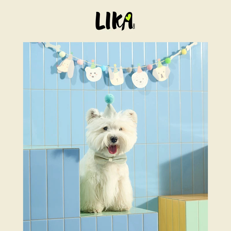 有 LIKAPAWS 貓狗用品節慶套裝寵物派對裝扮生日帽可調節拍照出片